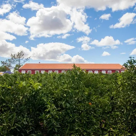 Quinta Dos I's - Algarve Bauernhof Ferrarias (Algoz)