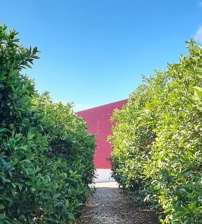 Bauernhof Quinta Dos I's - Algarve