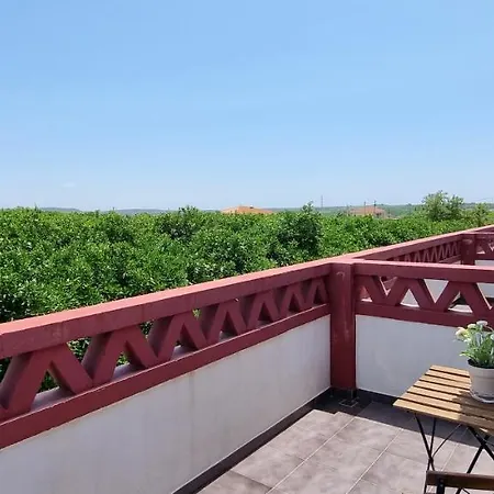 ファームステイ Quinta Dos I's - Algarve アルゴス