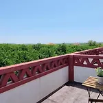 Farm stay Quinta Dos I's - Algarve Algoz