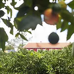 Quinta Dos I's - Algarve Farm stay Algoz