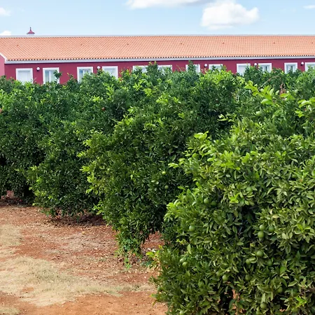 Séjour à la ferme Quinta Dos I's - Algarve Algoz
