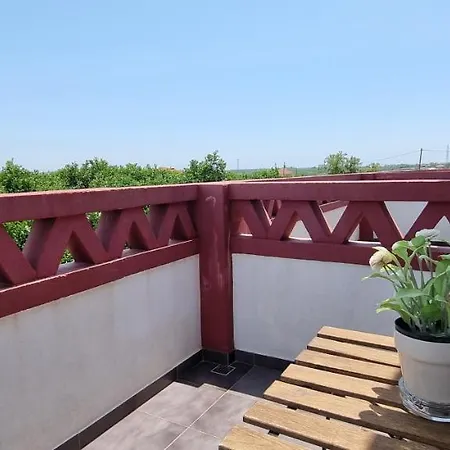 Quinta Dos I's - Algarve Farmház