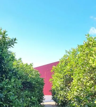 Alloggio per agriturismo Quinta Dos I's - Algarve Ferrarias (Algoz)