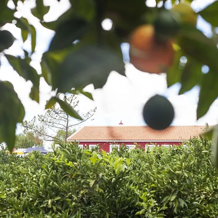 Quinta Dos I's - Algarve Farmház Algoz