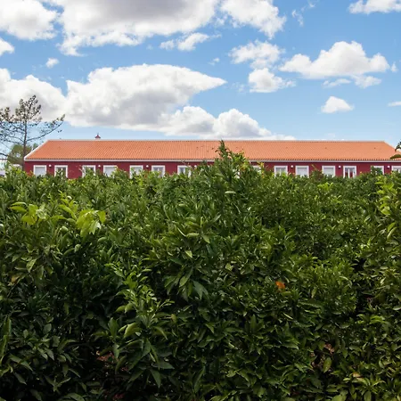 Quinta Dos I's - Algarve Farmház Algoz